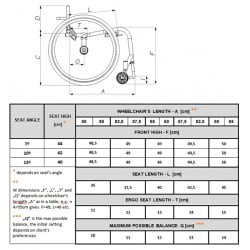 Silla de Ruedas GTM Mustang